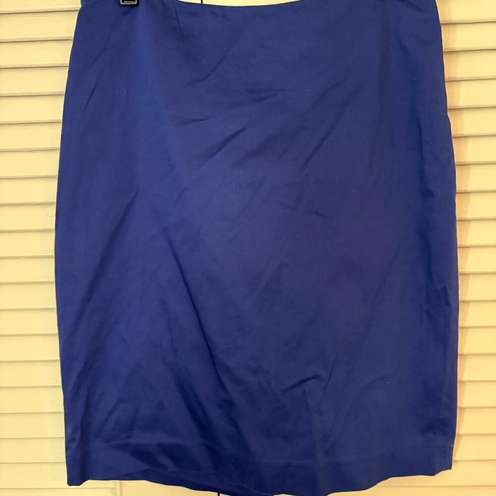 The Limited Blue Pencil Skirt | Size 2